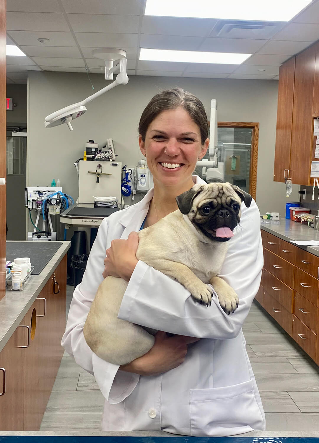 female vet holding happy tan pug