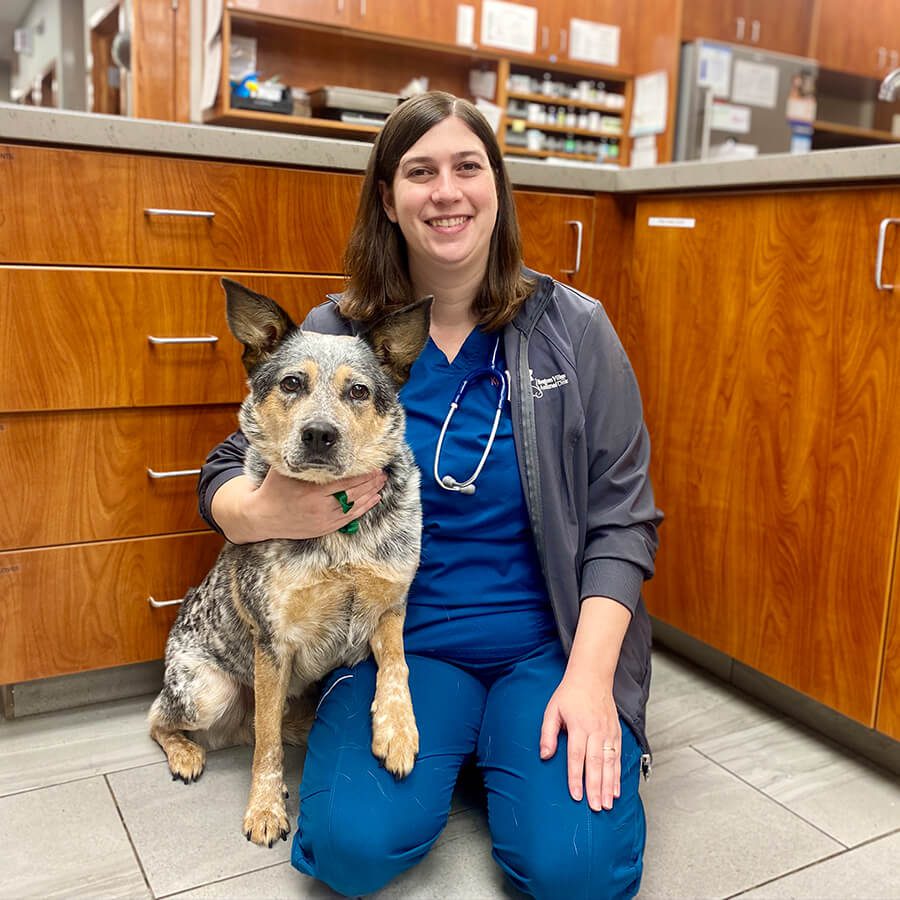 female vet kneeling down with multicolored dog