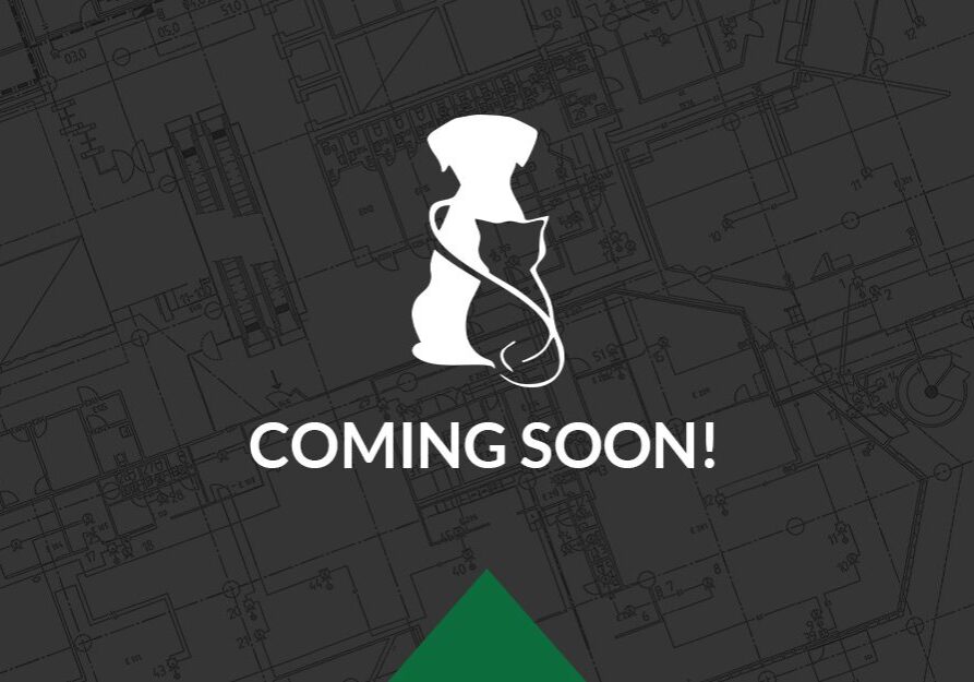 Coming Soon Placeholder2 Coming Soon Placeholder2
