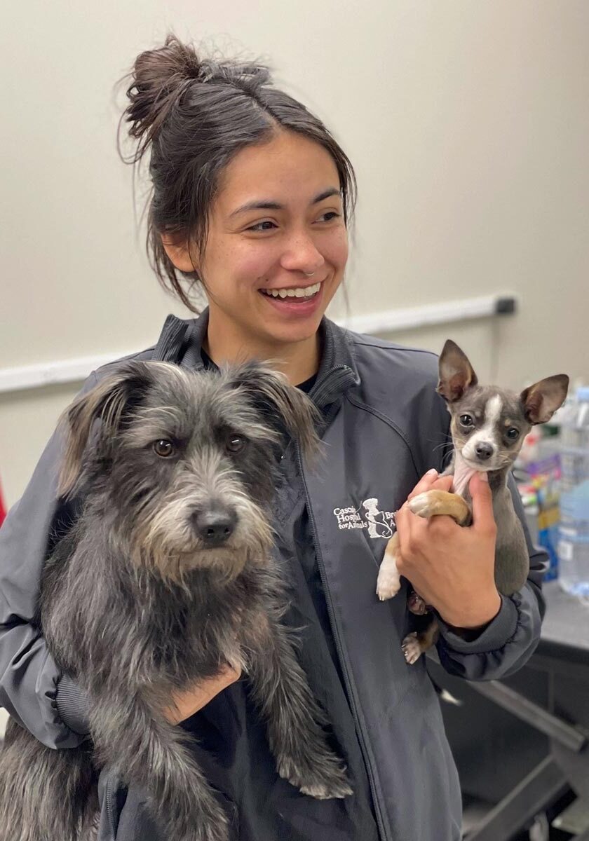 female staff member smiling and holding two dogs while looking off to side female staff member smiling and holding two dogs while looking off to side
